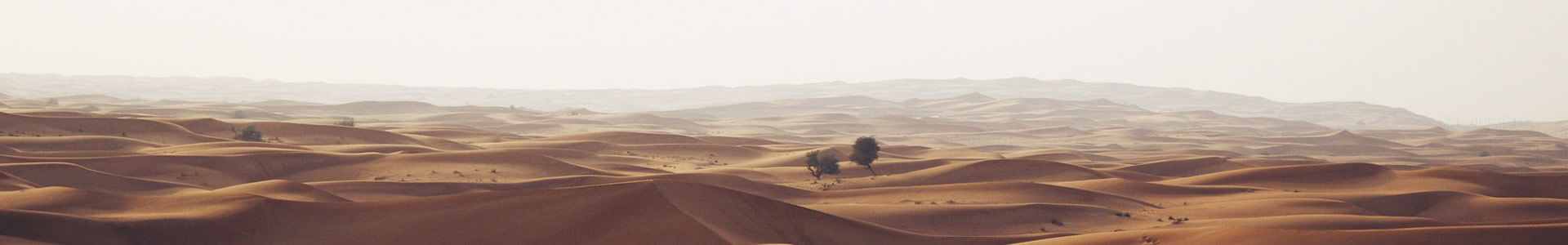 ݸѸԶƼ޹˾
